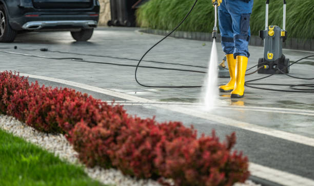 Best Roof Pressure Washing  in Troy, TX